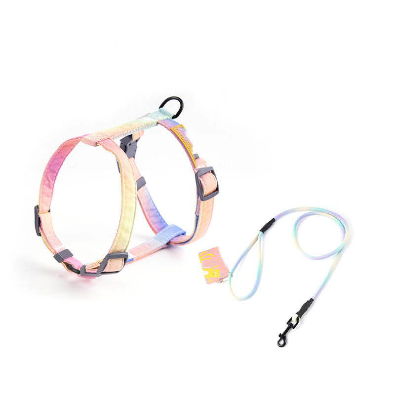 Fashion Leash To Prevent Breaking Free