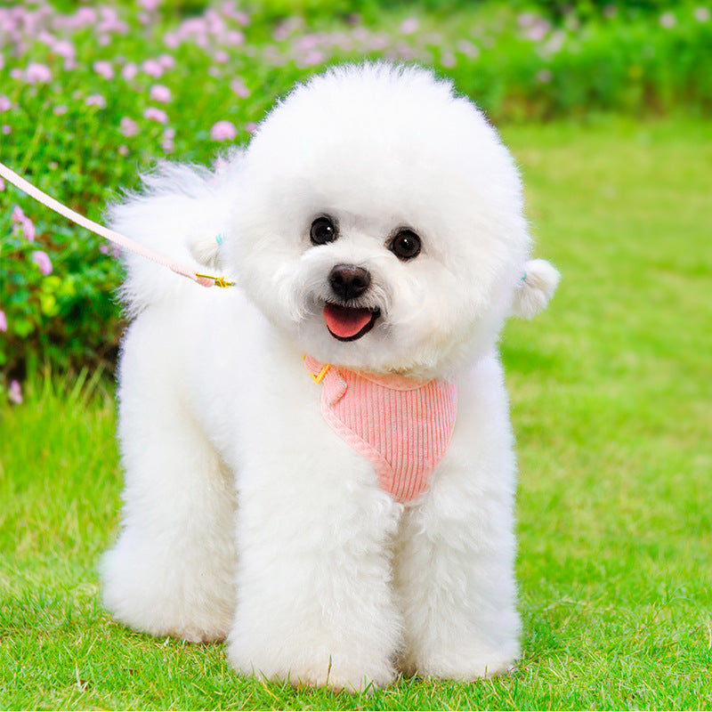 Adjustable Pet Leash And Harness Set For Outdoor Walking