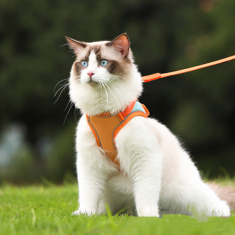 Anti Escape Reflective Pet Harness And Leash Set For Walking
