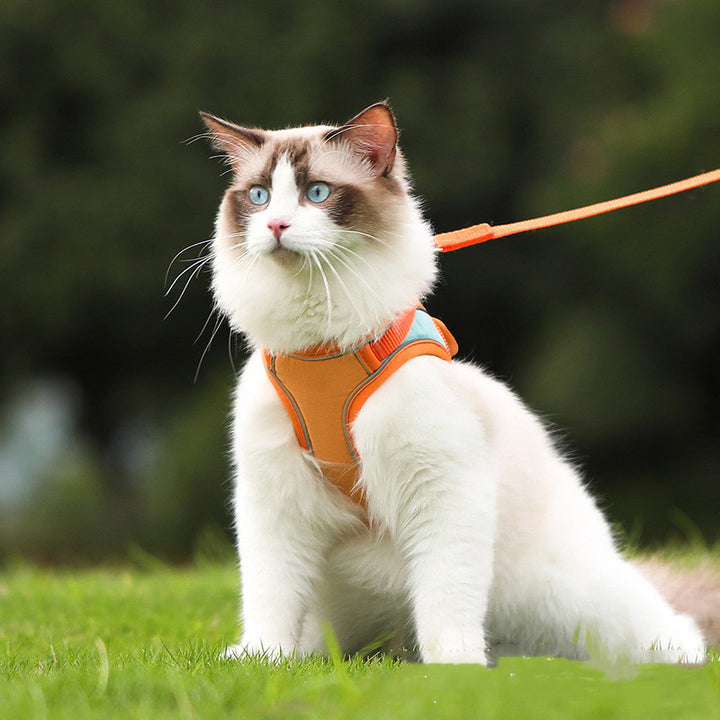 Anti Escape Reflective Pet Harness And Leash Set For Walking