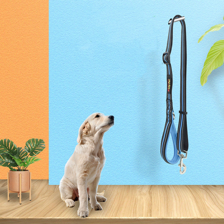 Leash Nylon Leash Assisted Retractable