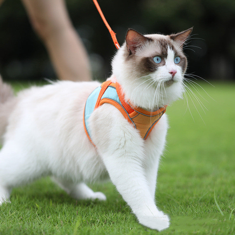 Anti Escape Reflective Pet Harness And Leash Set For Walking