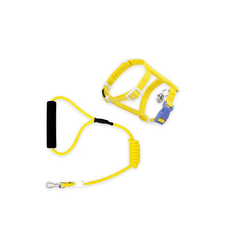 Fashion Leash To Prevent Breaking Free