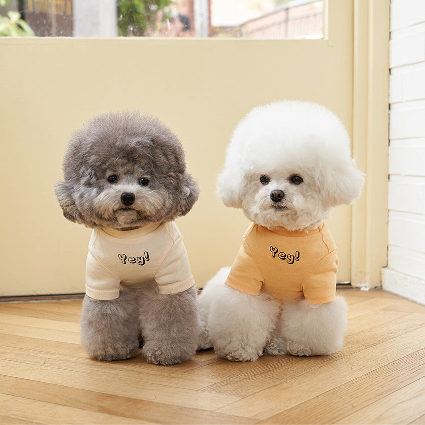 Korean Style Cotton Printed Pet T Shirt Short Sleeve