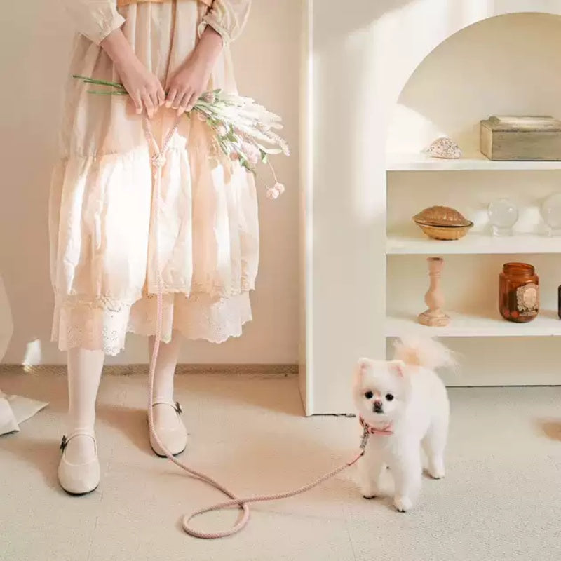 Leather Pet Collar And Handheld Leash For Daily Walking
