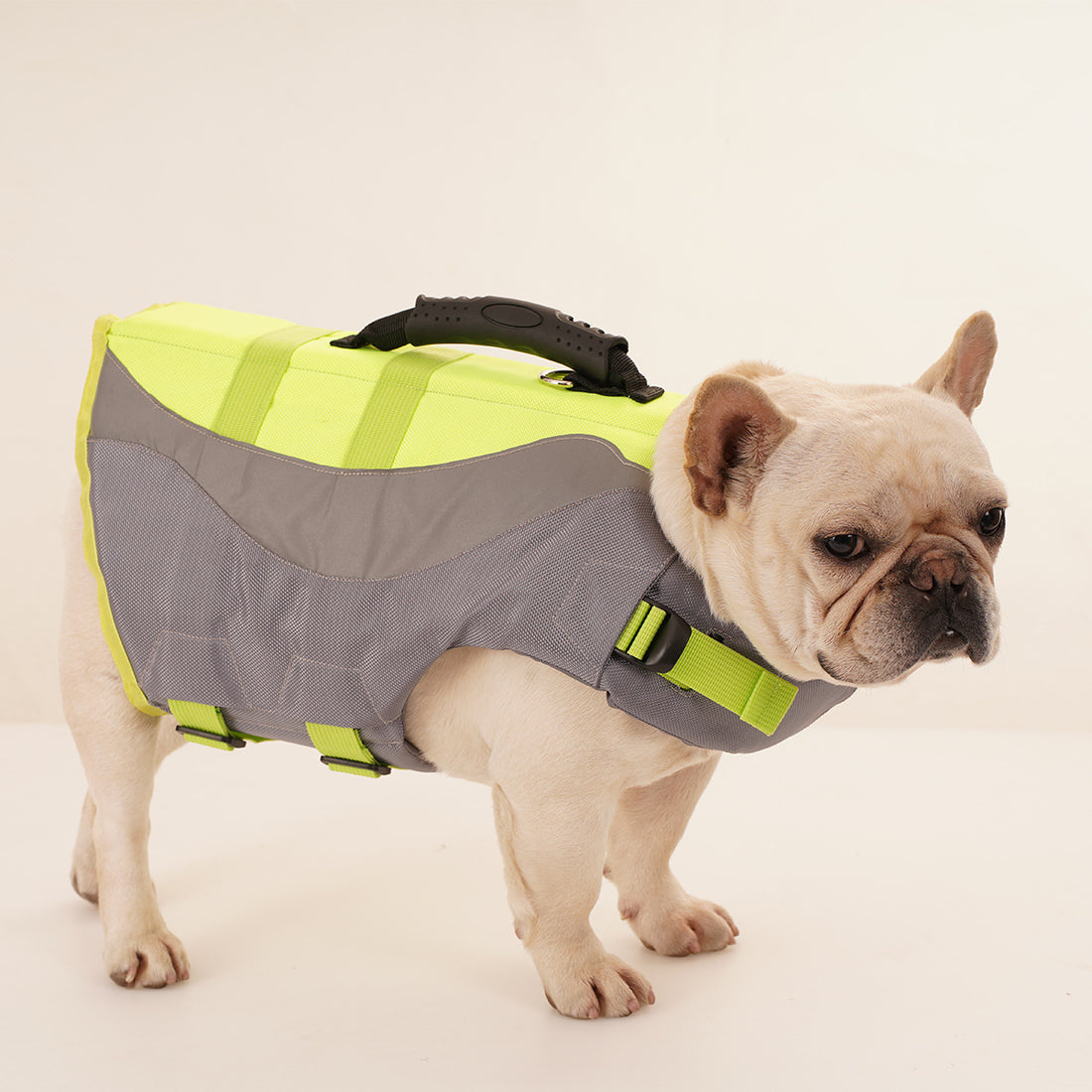 Reflective Pet Swimsuit Life Jacket Safety Wear