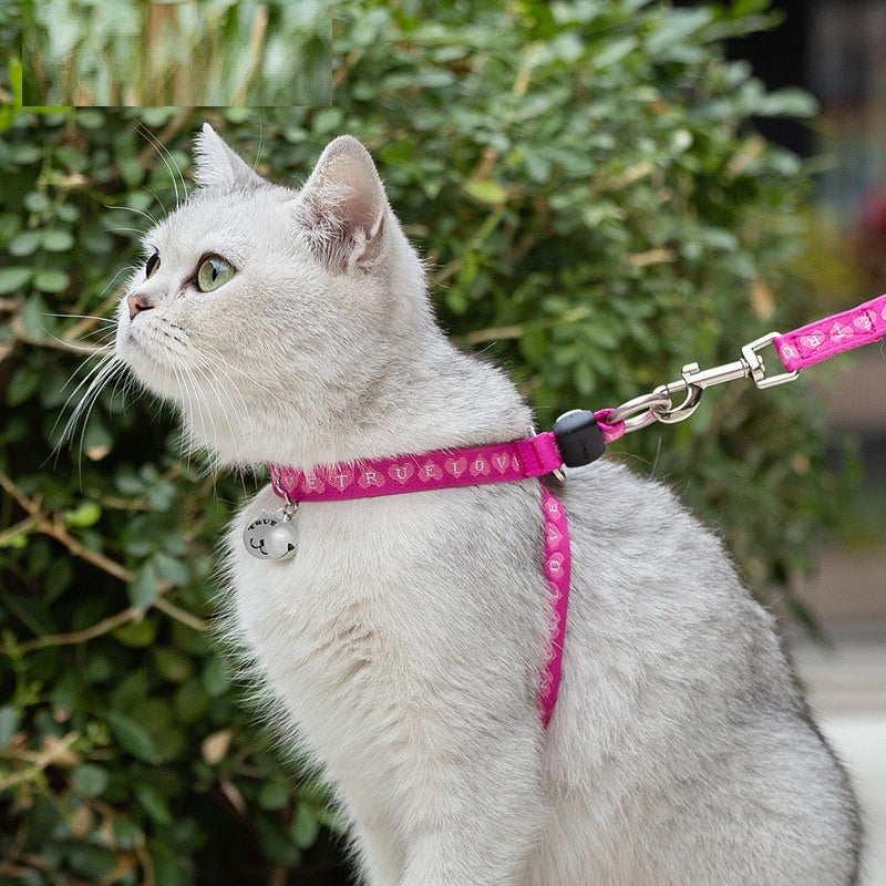 Bell Pet Harness Vest And Leash Set For Daily Walking